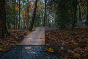 2023-12-14 A LONG WOODEN RAMP AT A NEW LOCAL BMX SKILLS TRACK IN THE WOODS ON MERCER ISLAND WASHINGTON