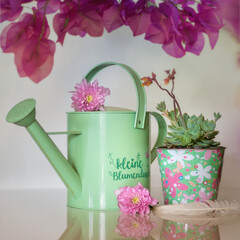 Watering can and a plant in a matching pot under a branch with bougainvillea flowers