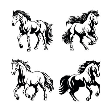 Horses silhouette, vector illustration.
