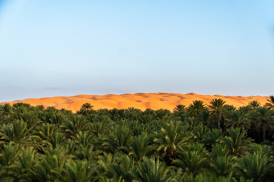 sand dunes in oman 