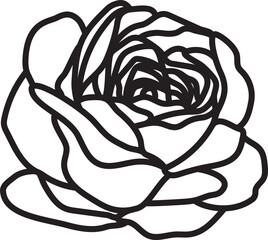 Rose Outline.