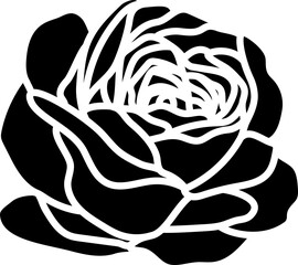 Flat Valentine Rose.