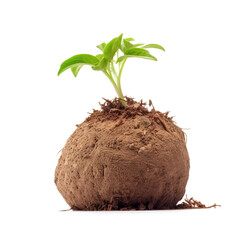 seed ball. Seed bombing. earth balls. Guerrilla gardening. isolated on white