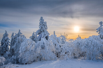 Deep snow-covered winter landscape on the Großer Feldberg in Taunus - Germany on a sunny day