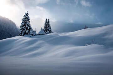 Fresh snow on the Tauernalps near Obertauern AUT