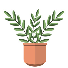 Cute indoor plant icon Vector
