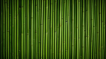 Horizontal green bamboo background texture - obrazy, fototapety, plakaty