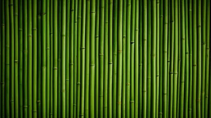Foto op Aluminium Horizontal green bamboo background texture © Lubos Chlubny