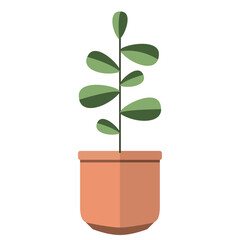 Cute indoor plant icon Vector