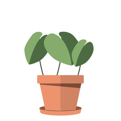 Cute indoor plant icon Vector
