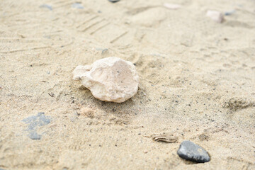 Fototapeta na wymiar Stones in the sand at the beach in Fuerteventura Costa Calma beach Canary Islands wallpaper