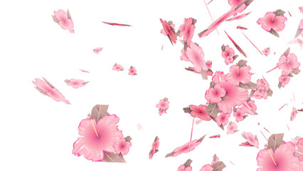 Sakura petals for overlays , Also good background for scene and titles, logos. Concept of love, romance,Valentine, mother's day, rose day