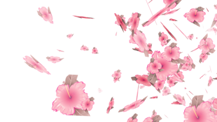 Sakura petals for overlays , Also good background for scene and titles, logos. Concept of love, romance,Valentine, mother's day, rose day
