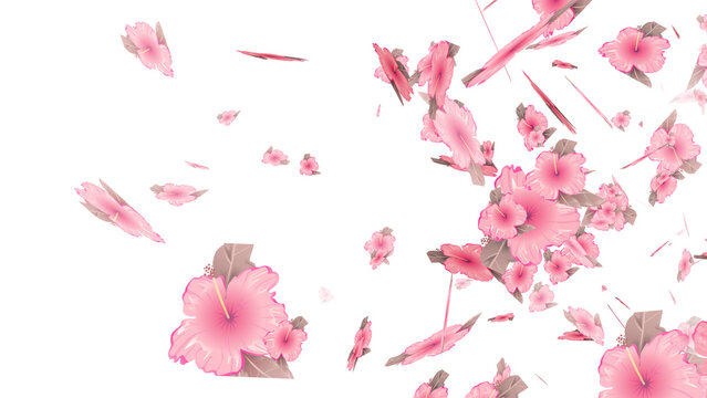 Sakura petals for overlays , Also good background for scene and titles, logos. Concept of love, romance,Valentine, mother's day, rose day