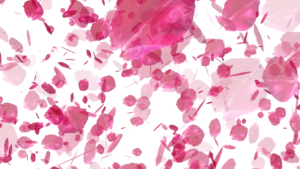 Foto auf Acrylglas Cherry Blossom falling with transparent background for overlays  © mirzamlk