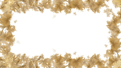 Maple Leaf frame display with leaf and particle