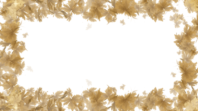Maple Leaf frame display with leaf and particle