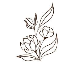 Vintage hand drawn flower sketch Vector