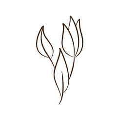 Vintage hand drawn leaf sketch Vector