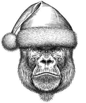 Vintage engraving isolated gorilla set dressed christmas illustration ape ink santa costume sketch. Monkey kong background primate silhouette new year hat art. Black and white hand drawn image
