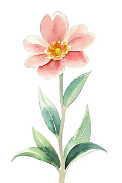 Flower watercolor. Isolated illustration with alpha channel. 