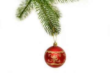 Green spruce branch with a red ball on a white background.