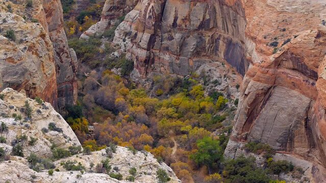Establishing shot of brown mountains with green forest in The Hogback Scenic Root 12, Utah, North America. Day time on October 2023. ProRes 422 HQ.