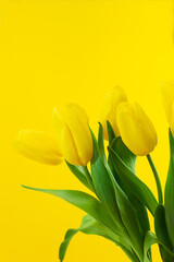 Bouquet of yellow tulips with green leaves on a yellow background. Vertical. Happy International Women's , Mother's and Valentine's Day, Birthday, Holiday. Copy space