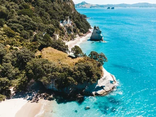  Drone photo above Cathedral Cove in New Zealand showing beaches, different rock formations, flora and fauna. © Sam