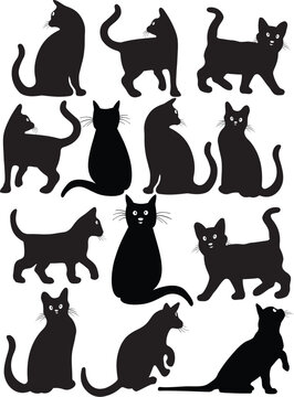LES CHATS