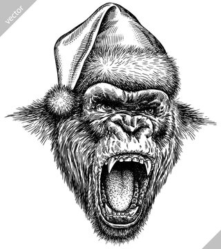 Vintage engraving isolated gorilla set dressed christmas illustration ape ink santa costume sketch. Monkey kong background primate silhouette new year hat art. Black and white hand drawn vector image