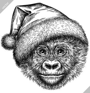 Vintage engraving isolated gorilla set dressed christmas illustration ape ink santa costume sketch. Monkey kong background primate silhouette new year hat art. Black and white hand drawn vector image