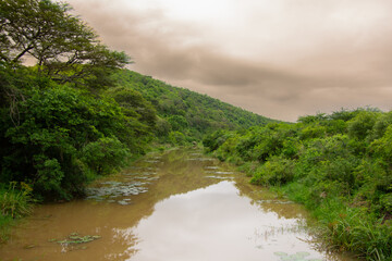 Wide river in the heart of the Kruger Park in South Africa