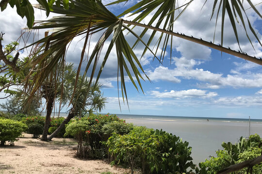Palm trees on the beach in Madagascar