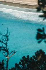 Deurstickers Ohope beach in New Zealand showing surfers in the water and the beach through the flora and fauna. © Sam