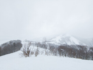 Fototapeta premium スキー場の風景