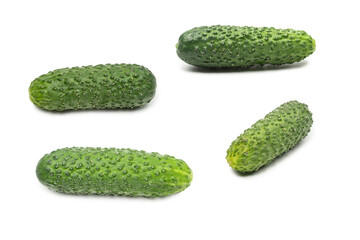 Fresh green cucomber isolated on white background.