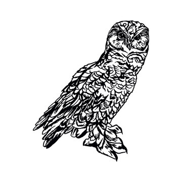 Owl. Vector illustration of a bird in graphic style. Design element for greeting cards, banners, covers, invitations, flyers, labels.