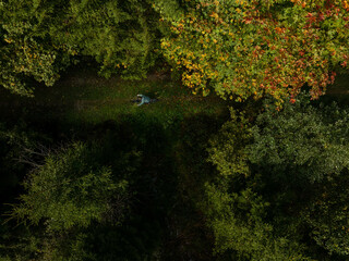 Obraz na płótnie Canvas Autumnal Hues in a Forest Aerial View while a cyclist is riding his bike