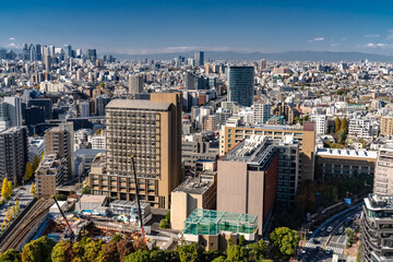 Fototapeta premium 東京の町並み Tokyo cityscape