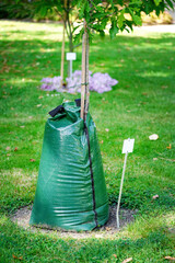 Tree watering irrigation bag on the tree full of water, tree bag irrigation bag for watering trees