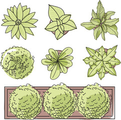 top view trees in pots.Set of Houseplants outline drawings and paint. Indoor flowers in pots line art top view. Monstera, succulent plants for home interior plans, design. Vector isolate