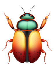 bug insects wildlife animals vector illustration