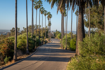 The Los Angeles skyline from Elysian Park
