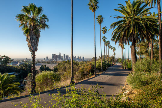 The Los Angeles skyline from Elysian Park