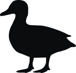 duck illustration