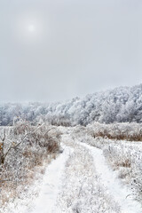 Winter road in forest. Trees covered of hoarfrost in winter in forest