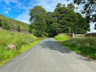 Fototapeta na wymiar Gordale Lane, with wild grass verges, stone walls, and old trees, and a sunny day near, Malham, UK
