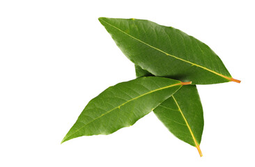 Fresh green bay leaves isolated on white, top view 