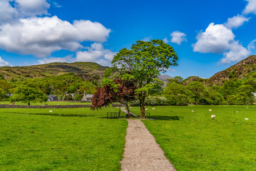 the Snowdonian village of Beddgelert